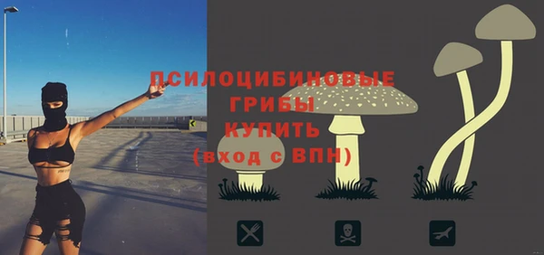 эйфоретик Верхний Тагил